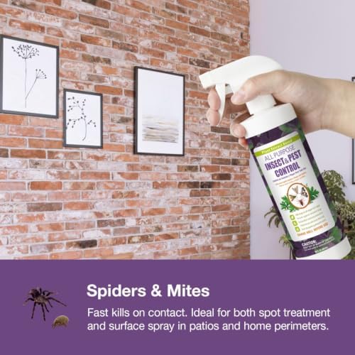 EcoVenger All Purpose Home Insect Control 1/2 Gallon with Trigger Sprayer, for Fleas, Fruit Flies, Gnats, Moths, Roaches, Spiders, Fast Kill