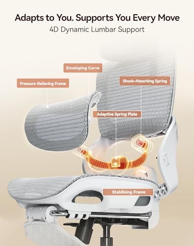 SIHOO B100 Pro Ergonomic Office Chair with Adaptive Lumbar Support, Computer Chair with Dual-Back, Desk Chair with 360° Rotatable & Flip-Up Armrests, 3D Wide Headrest, 2 Packs, Light Grey