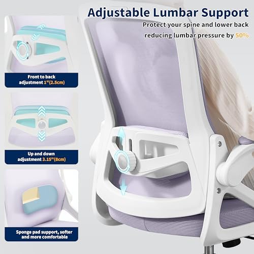 Ergonomic Office Chair Desk Chair with Adjustable Lumbar Support