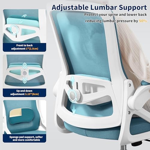 Ergonomic Office Chair Desk Chair with Adjustable Lumbar Support