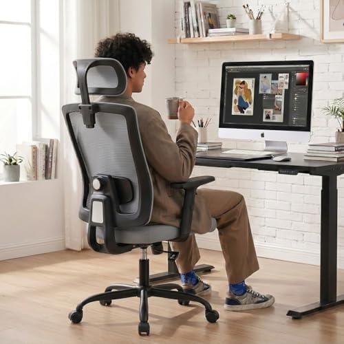 Shintenchi Mesh Office Chair, Ergonomic Home Office Desk Chair with Adjustable Lumbar Support, Headrest, 90°-135° Tilt, Computer Chair for Home Office, Gray Task Chair