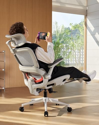 SIHOO B100 Pro Ergonomic Office Chair with Adaptive Lumbar Support, Computer Chair with Dual-Back, Desk Chair with 360° Rotatable & Flip-Up Armrests, 3D Wide Headrest, 2 Packs, Light Grey