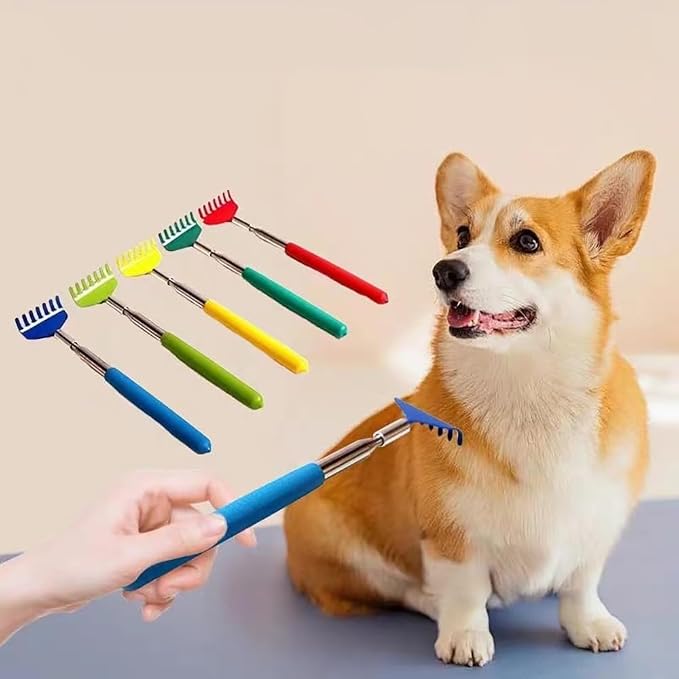2PC Cat Comb Telescopic Teaser Wand Retractable Scratch Comb Tickle Handy Interactive Play Toy for Small Animal Rabbit Ferret Guinea Pig Dog (Rake)