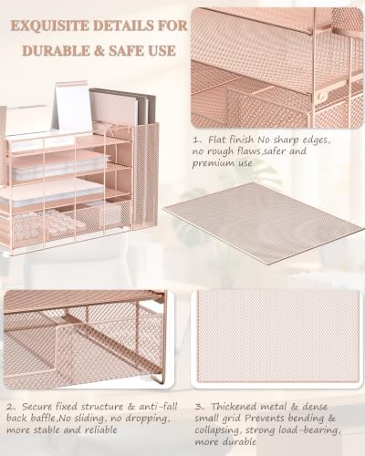 WALI Desk File Organizer, 4 Tier Desktop Paper Letter Tray Organizer with Drawer and 2 Pen Holders, Office Desk Accessories & Workspace Organizers for Office, Home, School Supplies, 1 Pack, Rose Gold