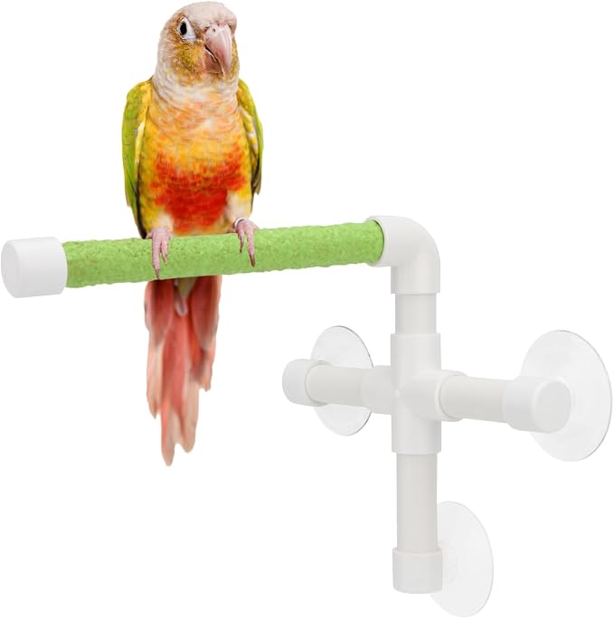 Hypeety Portable Suction Cup Bird Window and Shower Perch Toy Parrot Stand | 3 strong suction cups, parrot bath perch with quartz sand surface, fits windows/tile, for parakeets/budgies/cockatiels, green