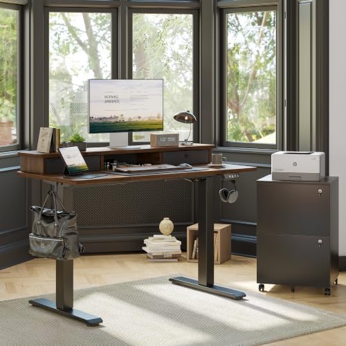 TIQLAB 48 * 24 inch Standing Desk with Two Drawers&Top Shelf, Black Walnut