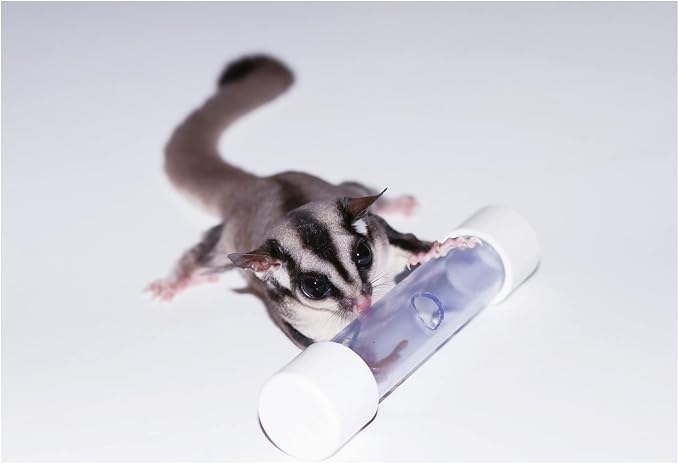 Exotic Nutrition Rolling Forage Cylinder - Fun & Unique Forage Toy - Sugar Glider, Hedgehog, Squirrel, Chinchilla, Prairie Dog, Degu, Chicken, Bird, Skunk, Rabbit, Hamster, and Other Small Animals