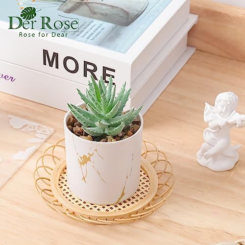 Der Rose 2 Pack Mini Fake Succulents Gold Accent Pots for Office Desk Decor