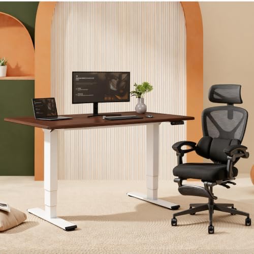 FLEXISPOT E6 Solid Wood Dual Motor 3-Stage Electric Standing Desk, 55 x 28