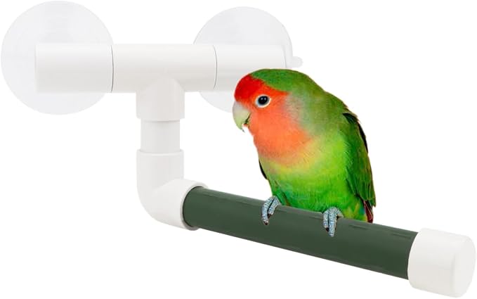 Hypeety Portable Suction Cup Bird Window and Shower Perch Toy Parrot Stand | 2 strong suction cups, parrot bath perch, easy to install, fits windows/shower tile, for budgies/parakeets/lovebirds, green