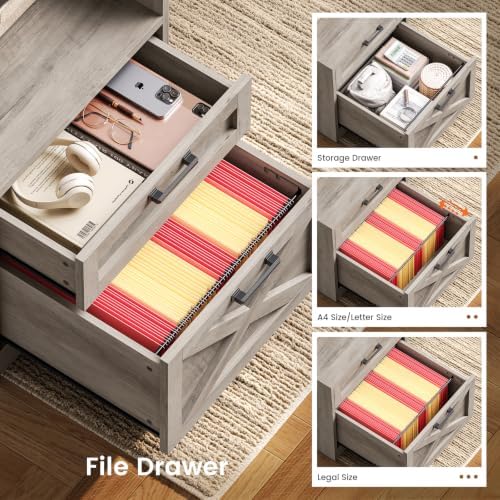 SEDETA 63" Executive Office Desk with 5 Drawers, Grey