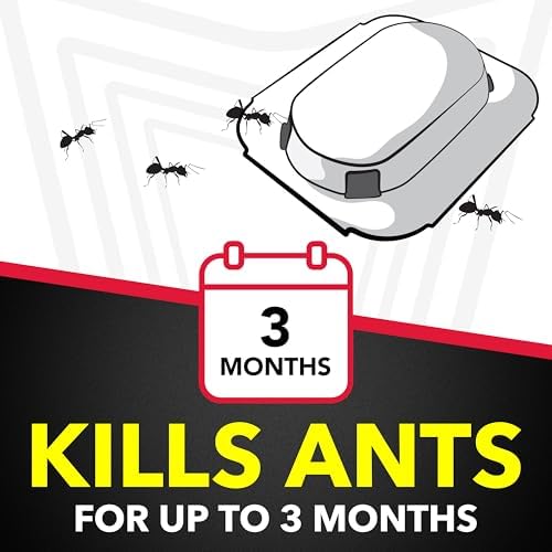 Raid Ant Killer Baits, for Household Use, Kills the Colony, Kills Ants for 3 Months, Child Resistant 4 Count (Pack of 12)