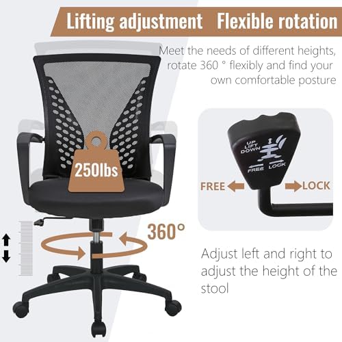 FDW | Mid Back Office Chair | Black | with Lumbar Support, 360 Swivel