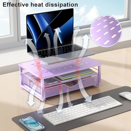 gianotter Computer Monitor Stand Riser with Drawer