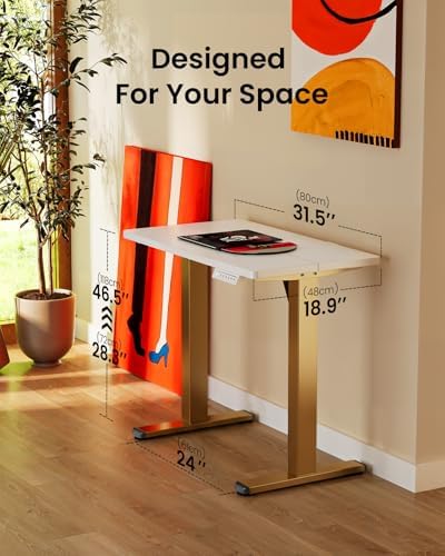 ErGear Height Adjustable Electric Standing Desk, 32 x 19 Inches Sit Stand up Desk, Memory Computer Home Office Desk, White+Gold