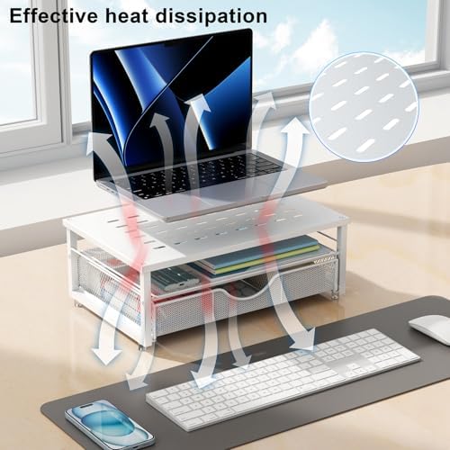 gianotter Computer Monitor Stand Riser with Drawer
