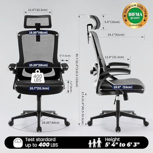 Fizzin Office Chair Mesh Computer Chairs with Adjustable Lumbar Support