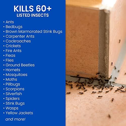 BioAdvanced Home Pest Control Indoor & Outdoor Insect Killer, Ready-to-Use, 1 Gal