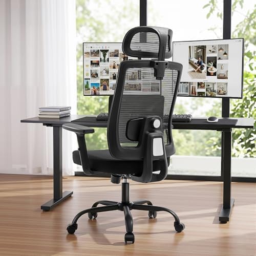 Shintenchi Mesh Office Chair, Ergonomic Home Office Desk Chair with Adjustable Lumbar Support, Headrest, 90°-135° Tilt, Computer Chair for Home Office, Black Task Chair