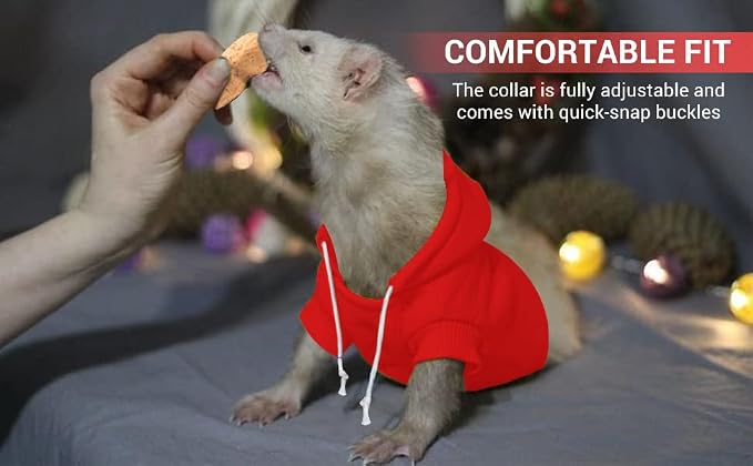 Red Ferret Sweater, Harness, and Leash Set - Ferret Clothes- Ferret Accessories - Clothes for Ferrets - Ferret Stuff - Hoodies for Ferrets - Ferret Accessories