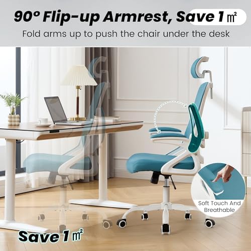 Fizzin Office Chair Mesh Computer Chairs with Adjustable Lumbar Support