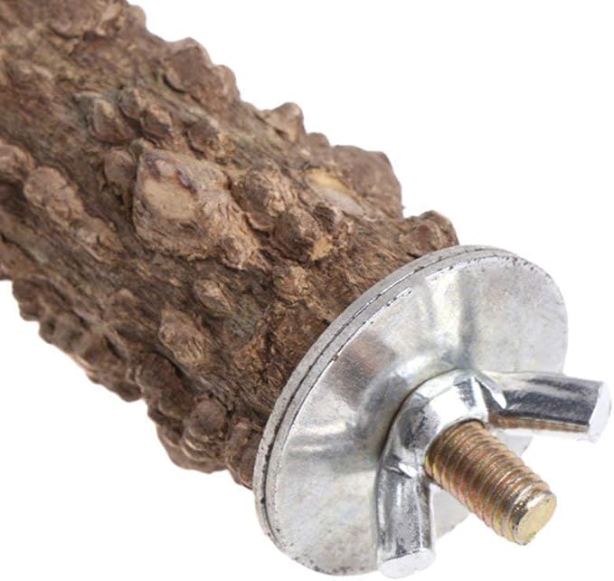 Hypeety Natural Prickly Ash Wood Perch Bird Paw Grinding Stand, 11.7''/30cm | Paw and beak grinding perch, bark texture for grip, chew-proof and durable, beak for budgie/parakeet/cockatiel/lovebird