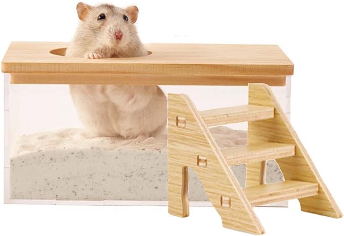 Transparent Hamster Sand Bath Box for Hamster Cage Accessories, Digging Sand Container with Climbing Ladder, Large Sandbox for Hamsters Dust Bath and Play Sand (M, Rectangle)