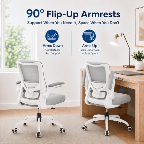 Ergonomic Office Chair for Long Hours, Padded Lumbar Support for Lower Back Relief, 330 lb Capacity, Comfortable Computer Desk Chair for Home Office, Computer & Study (Modern, Light Gray)