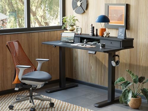 TIQLAB Standing Desk with Two Drawers, Stand Up Standing Desk Adjustable Height, Electric Sit Stand Table with Storage Shelf and Splice Board, 48 * 24 inch, Black