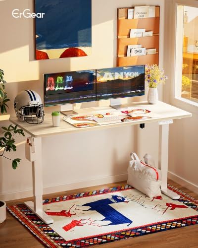 ErGear Height Adjustable Electric Standing Desk, 55 x 28 Inches Sit Stand up Desk, Memory Computer Home Office Desk, Natural