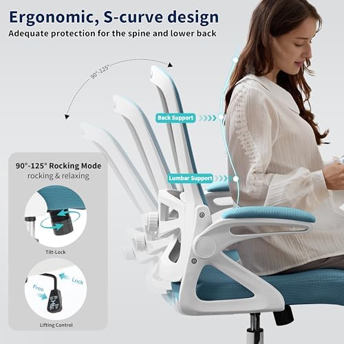 Ergonomic Office Chair Desk Chair with Adjustable Lumbar Support