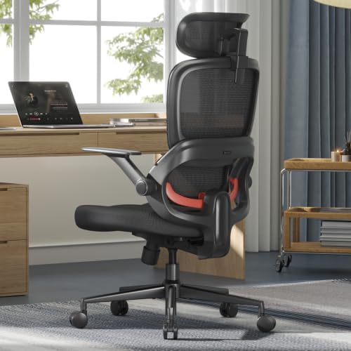 SIHOO B100 SE Ergonomic Office Chair, Desk Chair with Lumbar Support