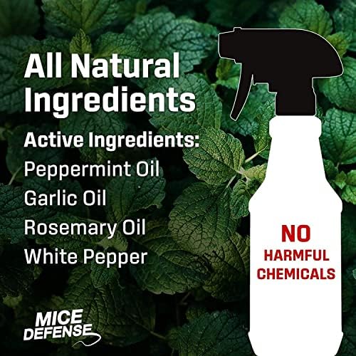 Exterminators Choice Lizard Spray - (2 Pack) 32 Fl Oz - Indoor & Outdoor Barrier to Deter Geckos - Kid & Pet Friendly Lizard Control Spray - Extended Coverage to Keep Reptiles Away