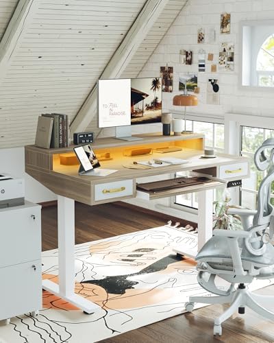 TIQLAB Standing Desk with Two Drawers, Stand Up Standing Desk Adjustable Height, Electric Sit Stand Table with Storage Shelf and Splice Board, with LED Light, 55 * 28 inch, Light Walnut