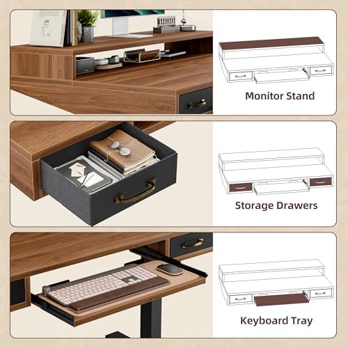 TIQLAB Standing Desk with Two Drawers, Stand Up Standing Desk Adjustable Height, Electric Sit Stand Table with Storage Shelf and Splice Board, with LED Light, 55 * 28 inch, Black Walnut
