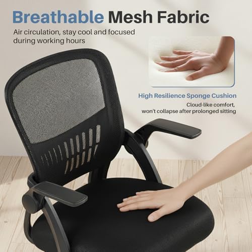 DUMOS Home Office Desk Chair, Computer Lumbar Support Chair