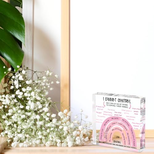 Mental Health I Can Control Decor, 4x4 Inch Pink Acrylic, Women's Therapy Office Sign, Girls Dorm Essentials, Motivational Room Decor and Gift