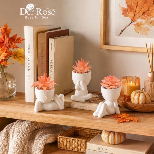 Der Rose 3 Pack Fall Fake Succulents Plants Autumn Room Decor for Bathroom