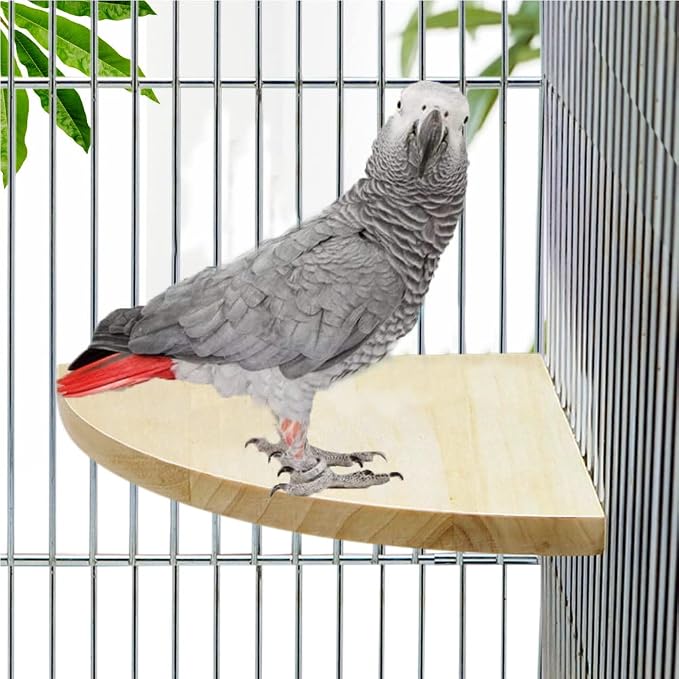 Litewoo Bird Parrot Corner Perch Flat Platform Stand for Cage, XXL | 9.45x9.45 in, easy to Install, stable & smooth, solid wood perch for small-medium birds/parakeet/cockatiel/budgie/conure/cage