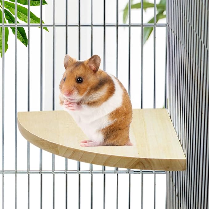 Litewoo Bird Parrot Corner Perch Flat Platform Stand for Cage (M) | 5.12x5.12 in, easy to Install, stable & smooth, solid wood perch for small-medium birds/parakeet/cockatiel/budgie/conure/cage