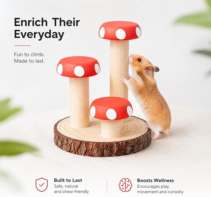 Hamster Climbing Toy Wooden for Chew, Enrichment Cage Accessory | Encourages climbing, exploring, and daily exercise for hamsters, gerbils, mice, rats, chinchillas, and guinea pigs