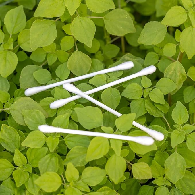 Sky Organics - Organic Cotton Swabs, Ultra Soft Tips - Strong & Durable - Hypoallergenic - Chlorine Free - Sustainable - Natural, Vegan & Cruelty Free - Skin Care & Self Care w ebook