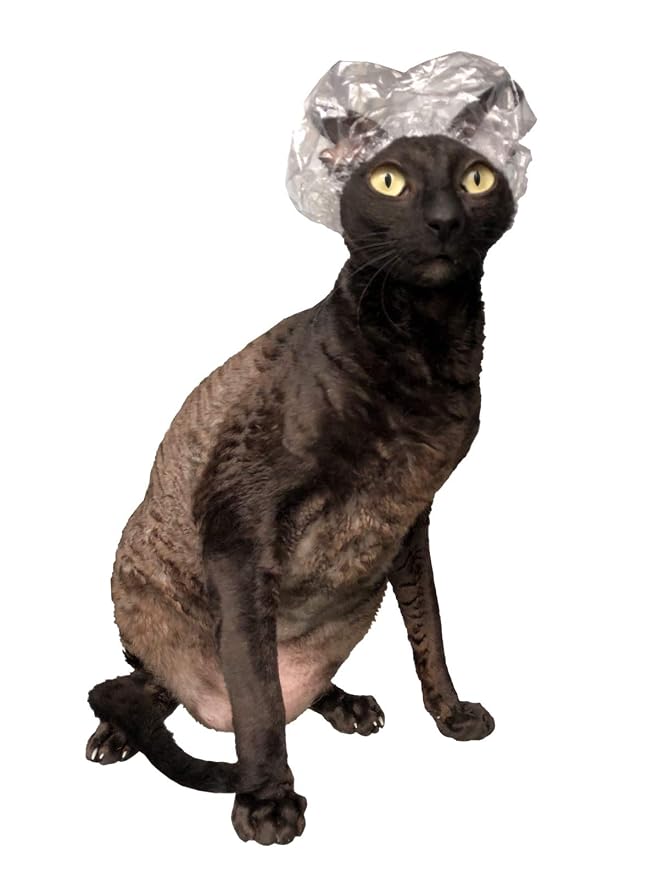 20 Transparent Shower Caps for Sphynx Cats in Decorative Tin Gift Box - Waterproof Bath Protection, Thoughtful Cat Lover Gift Set