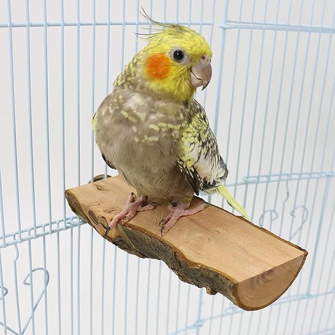 4PCS 5.5×5.9In & 2.5-3.7In Nature Bird Perch Stand Wooden Platforms Set | Rectangular & Round Combined bird platform, Cockatiel Cage Accessories, Grinding Beaks Claw Bird Toy for Parakeet Budgie