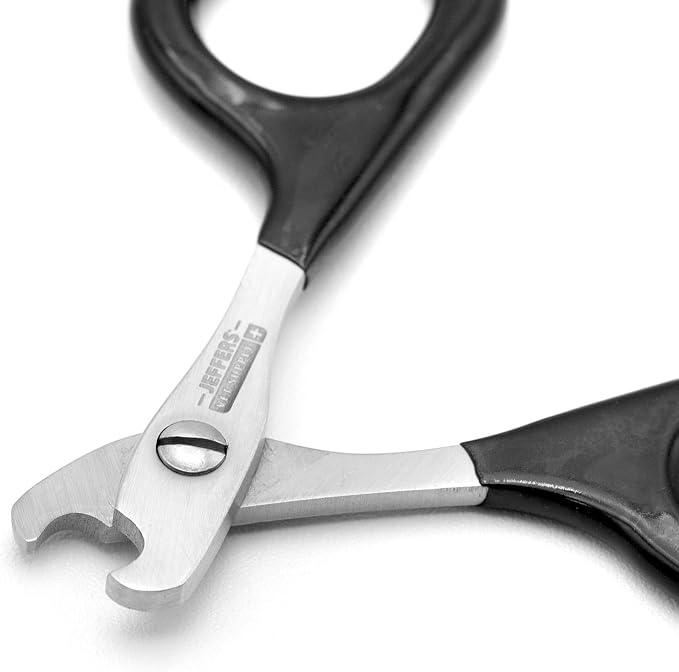 Jeffers Stainless Steel Cat Claw Clippers Scissors - Small Pet Nail Trimmer with Sharp Precision Blades, PVC Non Slip Ergonomic Handle, Compact Home Grooming Cutter for Cats, Kittens, Birds