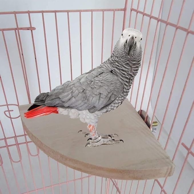 Litewoo Bird Parrot Corner Perch Flat Platform Stand for Cage (L) | 6.69x6.69 in, easy to Install, stable & smooth, solid wood perch for small-medium birds/parakeet/cockatiel/budgie/conure/cage