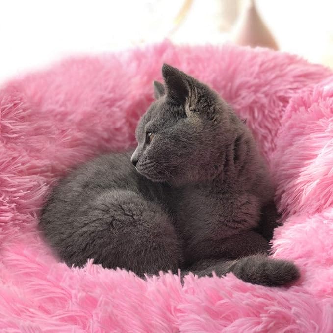 Cat Bed for Indoor Cats,Mini Plush Self Warming Kitten Bed, 20 Inch | Soft Round Fluffy Dog Bed and Cat Nest for Kittens and Small Dogs, Cozy Medium Bed for Indoor and Warm Autumn or Winter Sleep