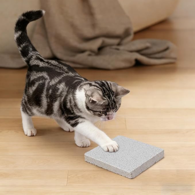 Toddmomy Rabbit Scratching Pad: Natural Lava Pumice Stone Claw & Teeth Grinding Pad for Hamster Guinea Pig Gerbil Small Pet Cage Accessories