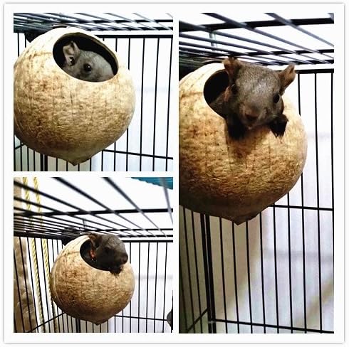 Hypeety Pet Bird Breeding Nest Natural Coconut Bird Hideout Hut for Cage | Natural coconut shell, for sleeping/breeding, easy to install, for parakeets/cockatiels/finches/hamsters, coco cage perch toy