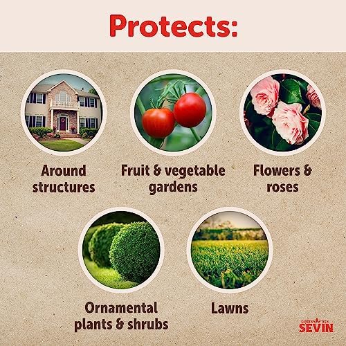 Sevin Insect Killer Spray, Ready-to-Use 2, 1 Gallon